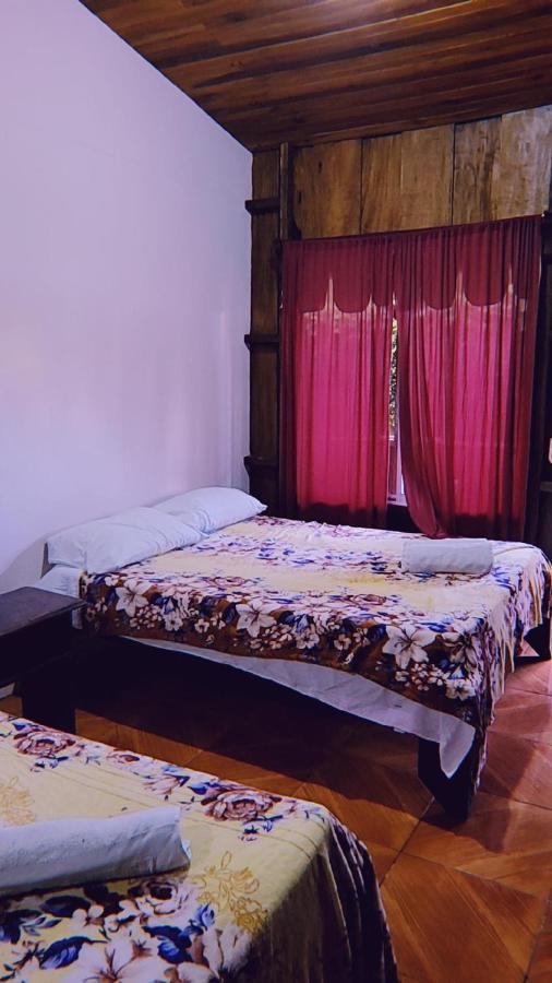 Alpha Arenal Hostel La Fortuna Εξωτερικό φωτογραφία